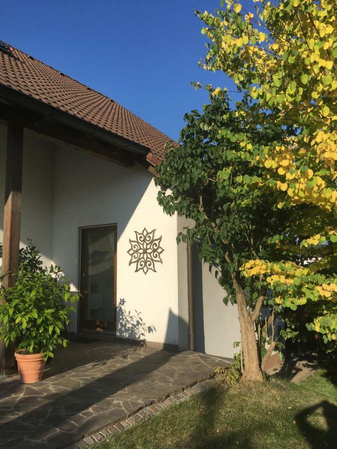 Apartment Am Stadtpark 노이막트인더오버팔츠 외부 사진